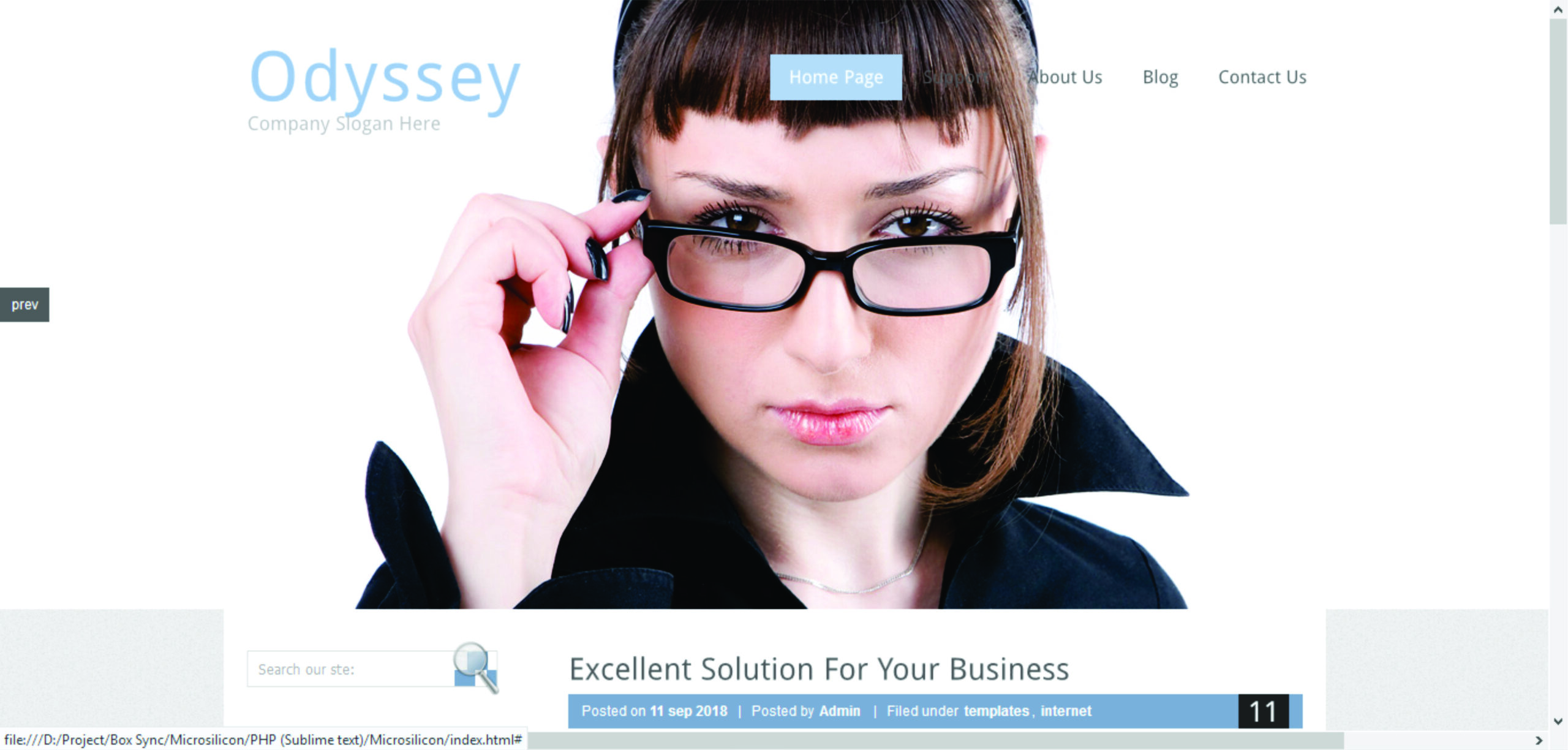 Interactive Websites